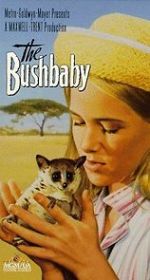 Watch The Bushbaby Vodlocker
