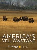 Watch America\'s Yellowstone Vodlocker