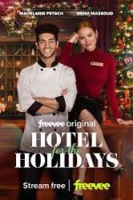 Watch Hotel for the Holidays Vodlocker