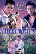 Watch Stray Cats Vodlocker