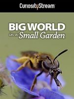 Watch Big World in a Small Garden (TV Short 2016) Vodlocker