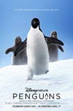 Watch Penguins Vodlocker