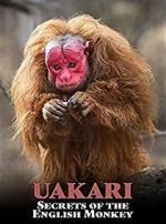 Watch Uakari: Secrets of the English Monkey Vodlocker