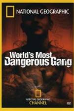 Watch National Geographic World's Most Dangerous Gang Vodlocker