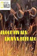 Watch National Geographic - Blood Rivals: Lion vs. Buffalo Vodlocker