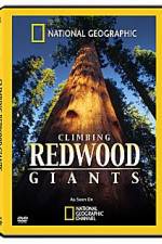 Watch National Geographic Explorer: Climbing Redwood Giants Vodlocker