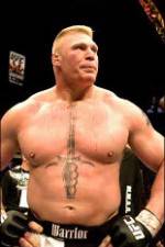 Watch Brock Lesnar 7 Fights Vodlocker