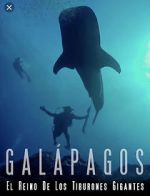 Watch Galapagos: Realm of Giant Sharks Vodlocker