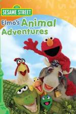 Watch Elmos Animal Adventures Vodlocker