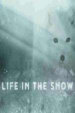 Watch Life in the Snow Vodlocker