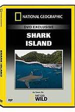Watch National Geographic: Shark Island Vodlocker