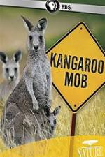 Watch Kangaroo Mob Vodlocker