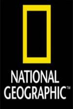 Watch National Geographic Wild Night Of The Lion Vodlocker