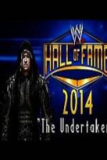Watch WWE Hall Of Fame 2014 Vodlocker