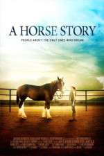 Watch A Horse Story Vodlocker