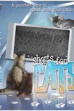 Watch Shorts for Cats Vodlocker