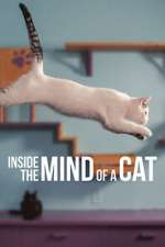 Watch Inside the Mind of a Cat Vodlocker