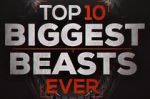Watch Top 10 Biggest Beasts Ever Vodlocker