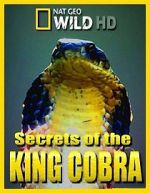 Watch Secrets of the King Cobra Vodlocker