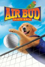Watch Air Bud: Spikes Back Vodlocker