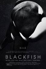 Watch Blackfish Vodlocker