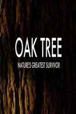 Watch Oak Tree Natures Greatest Survivor Vodlocker