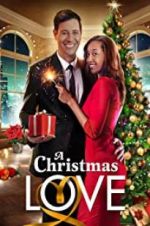 Watch A Christmas Love Vodlocker