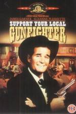 Watch Support Your Local Gunfighter Vodlocker