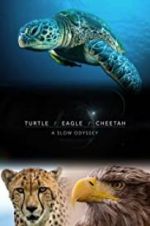 Watch Turtle, Eagle, Cheetah: A Slow Odyssey Vodlocker
