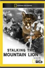 Watch National Geographic - America the Wild: Stalking the Mountain Lion Vodlocker