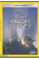 Watch National Geographic Explorer - The Angel Effect Vodlocker