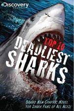 Watch National Geographic Worlds Deadliest Sharks Vodlocker