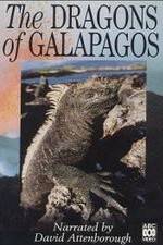 Watch The Dragons of Galapagos Vodlocker