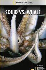 Watch National Geographic Wild - Squid Vs Whale Vodlocker