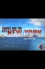 Watch Sharks and the City: New York Vodlocker