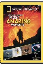 Watch National Geographic's Most Amazing Moments Vodlocker