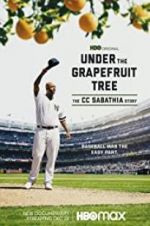 Watch Under the Grapefruit Tree: The CC Sabathia Story Vodlocker