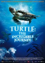 Watch Turtle: The Incredible Journey Vodlocker