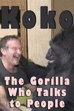Watch Koko: The Gorilla Who Talks to People Vodlocker