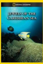 Watch National Geographic Jewels of the Caribbean Sea Vodlocker