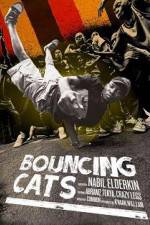 Watch Bouncing Cats Vodlocker