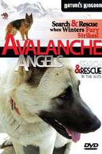 Watch Avalanche Angels Vodlocker