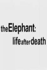 Watch The Elephant - Life After Death Vodlocker