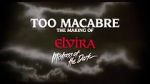 Watch Too Macabre: The Making of Elvira, Mistress of the Dark Vodlocker