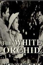 Watch The White Orchid Vodlocker