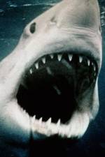 Watch Sharkmania: The Top 15 Biggest Baddest Bloodiest Bites Vodlocker