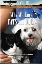 Watch Why We Love Cats And Dogs Vodlocker