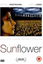 Watch Sunflower Vodlocker