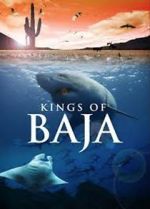 Watch Kings of Baja Vodlocker