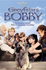 Watch Greyfriars Bobby The True Story of a Dog Vodlocker